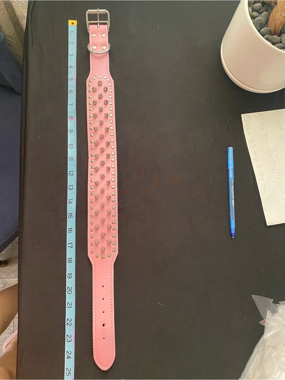 Spiked dog collar